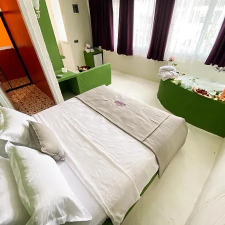 Hotel Tek Han